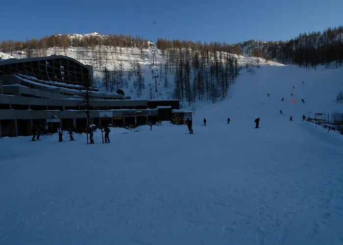 Piolet Panoramic Daire