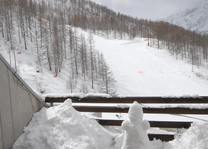 Piolet Panoramic بيريوِل تْشيرفينيا